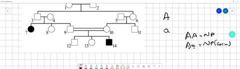 below-is-the-pedigree-of-a-family-with-an-autosomal-recessive-disorder-analyze-the-pedigree-to-determine-the-probability-of-individual-3-being-a-carrier-please-write-your-answer-as-a-probabi-54653