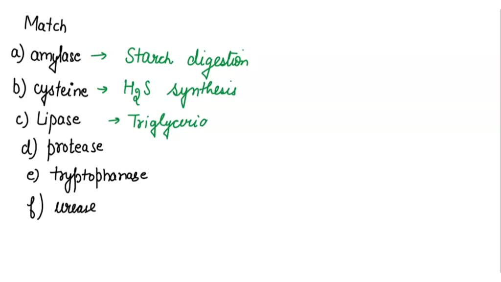 SOLVED Queston 6 The presence of the tryptophanase enzyme is positive