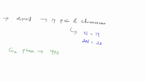 if-you-are-studying-a-diploid-organism-that-has-14-pairs-of-chromosomes-how-many-chromatids-will-this-cell-have-in-the-g2-phase-how-many-chromatids-will-the-gamete-of-this-organism-have-81584