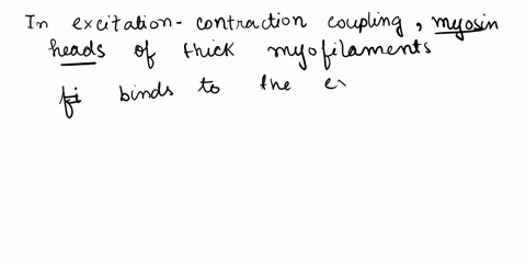 in-excitation-contraction-coupling-select-one-a-calcium-ions-must-bind-with-myosin-to-expose-active-sites-on-actin-b-myosin-heads-bind-to-exposed-active-sites-on-actin-c-cross-bridges-form-b-09916