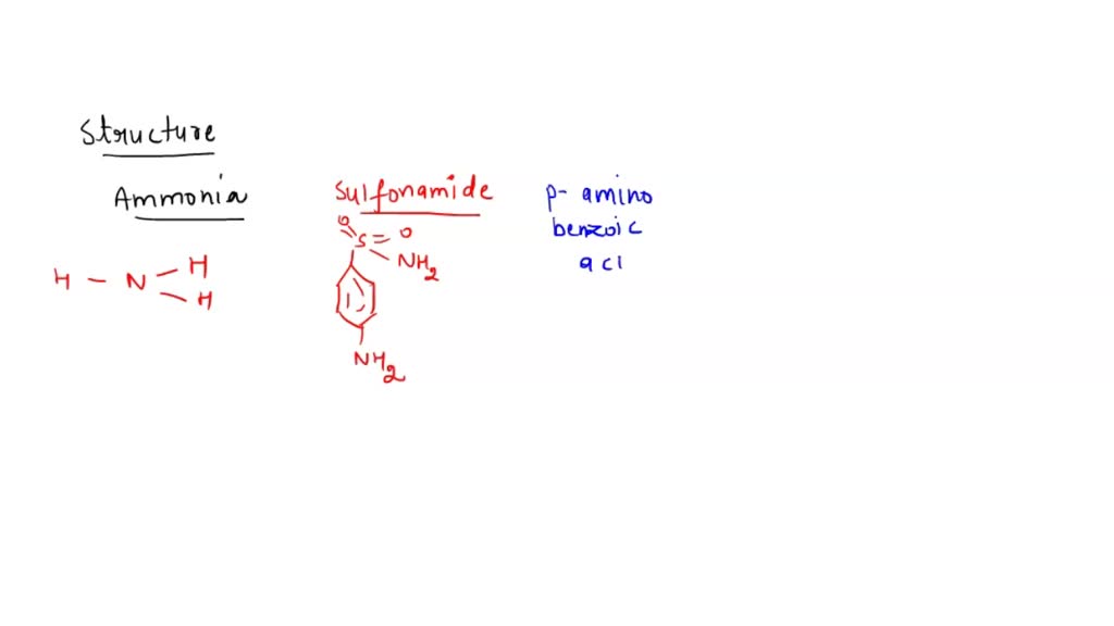 SOLVED: EtOH Ht cat. BuMgBr Ht workup HzNNHz Ht cat Et =PPha iv) HzN Bu ...