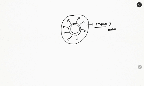 name-the-molecule-which-must-pass-between-the-nucleus-and-cytoplasm-92356
