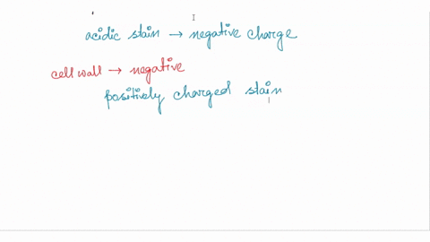 why-are-bacterial-cells-not-stained-in-negative-staining-and-why-are-the-cells-stained-in-simple-staining-18074