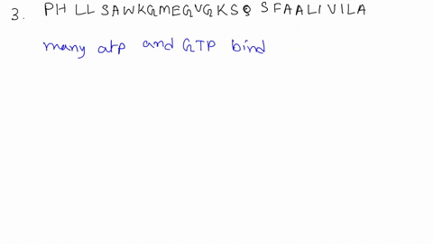 24-chromatographic-methods-three-polypeptides-the-sequences-of-which-are-represented-below-using-the-one-letter-code-for-their-amino-acids-are-present-in-3-mixture-peptide-1-atknrasclvpkhgal-67667