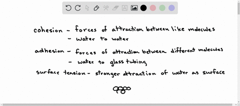 use-your-understanding-of-the-properties-of-intermolecular-and-intramolecular-forces-to-explain-the-fact-that-water-rises-in-narrow-tubes-against-the-force-of-gravity-as-shown-in-the-diagram-below