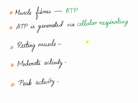 2-describe-the-mechanism-by-which-muscle-fibers-obtain-the-energy-to-power-contractions-be-able-to-compare-the-metabolism-occurring-in-a-resting-muscle-to-a-muscle-with-moderate-activity-to-26477