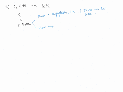 the-oxygen-debt-as-result-of-exercise-is-caused-by-the-amount-of-oxygen-needed-to-convert-laclic-acid-t0-glucose-the-amount-of-oxygen-needed-to-rebuild-the-supply-of-atp-the-reoxygenation-of-96392