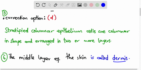 question-5-10-points-an-epithelial-tissue-formed-by-more-than-one-layer-of-cells-and-with-columnlike-cells-at-the-surface-is-called-simple-columnar-b-simple-squamous-stratified-squamous-stra-34608