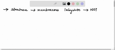 which-of-the-following-structures-of-the-membranous-labyrinth-is-not-involved-in-dynamic-and-static-equilibrium-group-of-answer-choices-1-vestibule-2-saccule-3-cochlear-duct-4-semicircular-d-22334