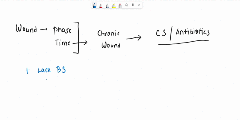 b-sketch-one-possible-method-to-improve-the-healing-of-a-chronic-wound-8m-c-explain-why-vou-think-your-method-in-b-is-the-best-in-enhancing-the-healing-of-chronic-wounds-4m-73114
