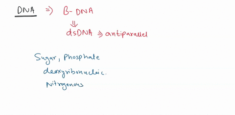 in-its-natural-state-dna-is-double-stranded-antiparallel-and-helical-single-stranded-and-composed-of-ribose-sugars-and-the-nitrogenous-bases-abbreviated-a-c-gand-u-double-stranded-with-the-n-17968