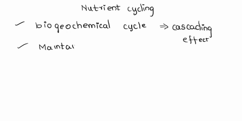 consider-nutrient-cycling-through-the-biogeochemical-processes-that-occur-please-describe-how-the-different-cycles-eg-carbon-water-nitrogen-phosphorus-interact-with-one-another-and-their-bal-73978