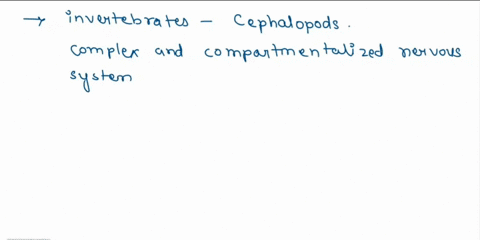 which-of-the-following-phyla-would-contain-animals-likely-to-have-the-most-complex-nervous-system-arthropoda-mollusca-excluding-class-cephalopoda-cnidaria-echinodermata-73298