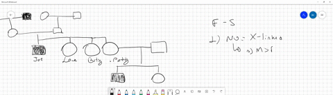 joe-is-color-blind-both-his-mother-and-his-father-have-normal-color-vision-but-his-mothers-father-jo-24756