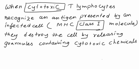 fill-in-the-blanks-with-the-terms-provided-cytotoxic-granzymes-class-t-lymphocytes-perforin-cell-mediated-when-t-lymphocytes-recognize-an-antigen-presented-by-an-infected-cell-with-mhc-molec-01513