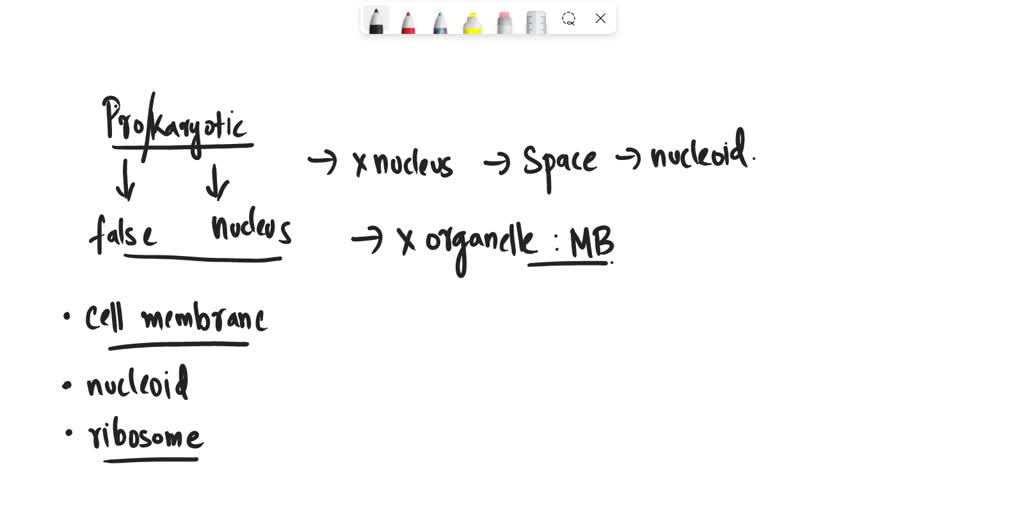 SOLVED which has prokaryotic cells A.human kidney B.beet root C