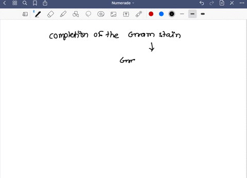 what-color-are-staphylococcus-epidermis-cells-following-the-completion-of-the-gram-stain-73697