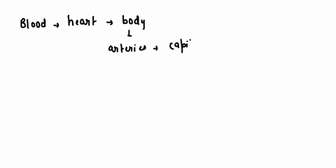 lie-between-______-and-______-a-arteries-veins-capillaries-b-capillaries-arteries-veins-c-vei-23024