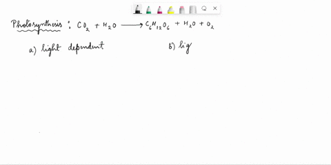 how-are-light-dependent-and-light-independent-reactions-involved-in-photosynthesis-97346