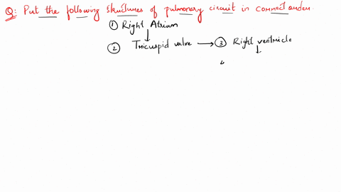 question-6-04-points-saved-put-the-structures-of-the-pulmonary-circuit-in-the-correct-order-starting-with-the-chamber-that-receives-blood-from-the-superior-and-inferior-vena-cava-tricuspid-v-61484