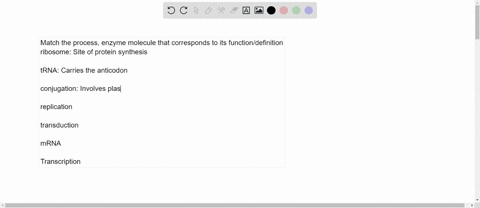 match-the-process-enzyme-molecule-that-corresponds-to-its-functiondefinition-ribosome-choose-rna-choosc-conjugation-choosc-replication-choosc-transduction-choosc-mrna-choose-rnscridoon-choos-63955