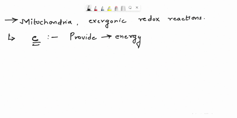 question-31-mitochondria-exergonic-redox-reactions-zpts-oa-are-directly-coupled-to-substrate-level-phosphorylation-0-b-reduce-carbon-atoms-to-carbon-dioxide-provide-the-energy-that-establish-71173