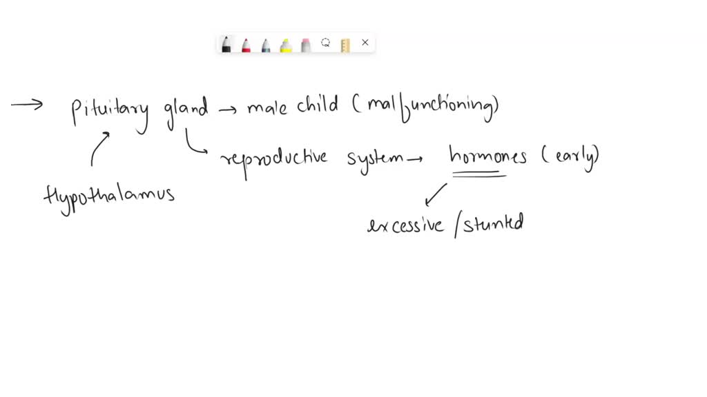 SOLVED: PLEASE HELP!! The pituitary gland in a male child is ...