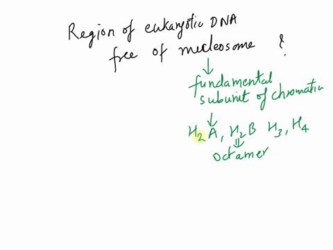 jregions-of-eukaryotic-dna-free-of-nucleosomes-are-called-polytene-nonhistone-proteins-nuclease-hypersensitive-sites-scaffolding-32117