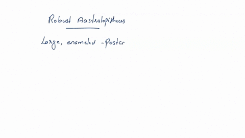 which-of-the-following-is-not-characteristic-of-robust-australopithecines-a-sagittal-crest-heavy-chewing-muscles-big-teeth-a-small-brain-small-teeth-question-2-175-points-primate-traits-the-27211
