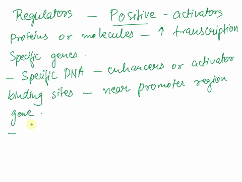 what-are-positive-regulators-activators-and-negative-regulators-repressors-describe-14603