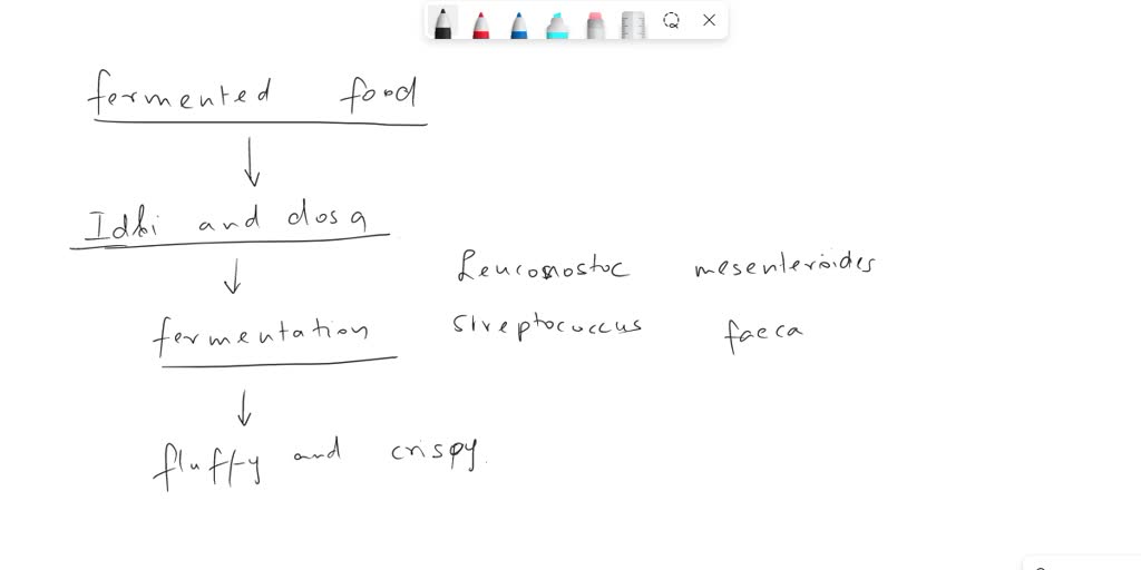 SOLVED The fermenting agent of dosa and idli is A. Saccharomyces