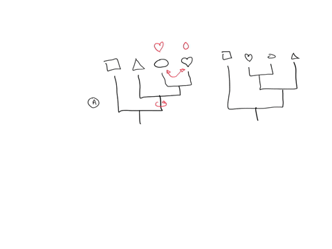 which-of-these-phylogenetic-trees-match-ie-show-these-same-evolutionary-relationships-please-choose-the-letters-of-all-trees-that-match-each-other_-23526