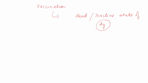 what-exactly-vaccination-introduces-into-the-body-that-mimics-the-particular-pathogen-it-is-then-engulfed-by-______that-display-pieces-of-it-on-the-cell-surface-to-other-immune-cells-a-a-pro-99158