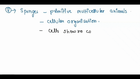 q2-how-many-tissue-layers-do-sponges-have-explain-your-answer-q3-what-type-of-symmetry-to-sponges-display-20275