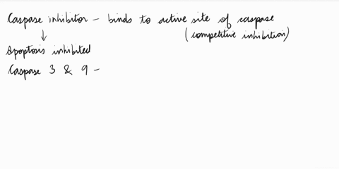 describe-one-likely-mechanism-of-action-of-a-caspase-inhibitor-explain-why-an-inhibitor-for-caspase-3-would-likely-be-ineffective-on-caspase-9-2-points-identify-the-dependent-variable-in-the-32004