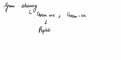 describein-detail-why-the-gram-stain-procedures-stain-gram-bacteria-purple-and-gram-bacteria-pink-do-not-just-say-thick-or-thinner-cell-wall-want-to-know-the-detailed-specifics-of-the-steps-52424