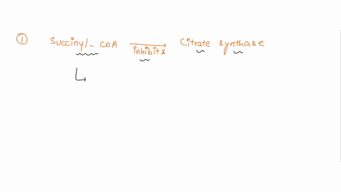 1-an-enzyme-in-the-krebs-cycle-citrate-synthase-can-be-inhibited-by-succinyl-coa-which-looks-like-its-substrate-acetyl-coa-this-is-an-example-of-_____-aallosteric-inhibition-bcompetitive-inh-20523