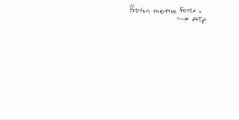 describe-how-the-proton-motive-force-is-used-to-generate-atp-compare-and-contrast-how-chloroplasts-and-mitochondria-generate-a-proton-motive-force-28138