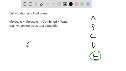 question-13-which-of-the-following-best-summarizes-the-relationship-between-dehydration-reactions-and-hydrolysis-dehydration-reactions-can-occur-only-after-hydrolysis_-hydrolysis-occurs-duri-96347