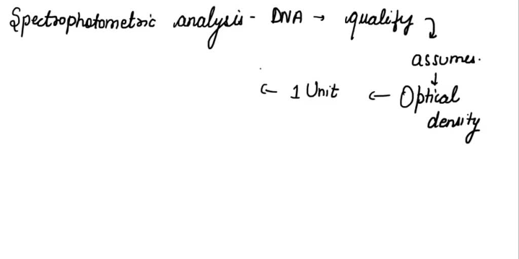 SOLVED The DNA ladder that you were given before making dilutions had