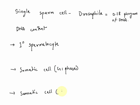the-nuclear-dna-content-of-a-single-sperm-cell-in-drosophila-melanogaster-is-approximately-018-pic-2-79735