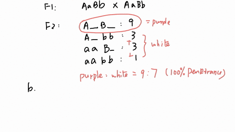 this-problem-illustrates-why-classical-geneticists-in-the-days-before-dna-analysis-usually-needed-to-31552