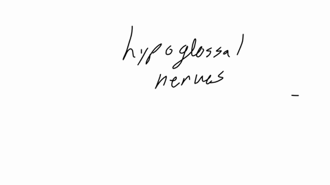 10-the-hypoglossal-nerves-cii-pass-from-the-through-the-hypoglossal-canals-to-innervate-the-extrinsic-and-intrinsic-muscies-a-medulla-oblongata-tongue-b-medulia-oblongata-eye-c-pons-eye-d-pons-tongue