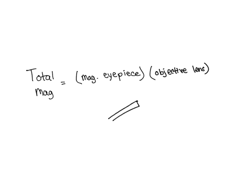 activity-3a-properties-of-the-microscope-this-simple-activity-will-help-you-understand-the-attributes-of-the-micro-scope-it-is-imperative-that-you-actively-participate-and-ask-questions-when-61057