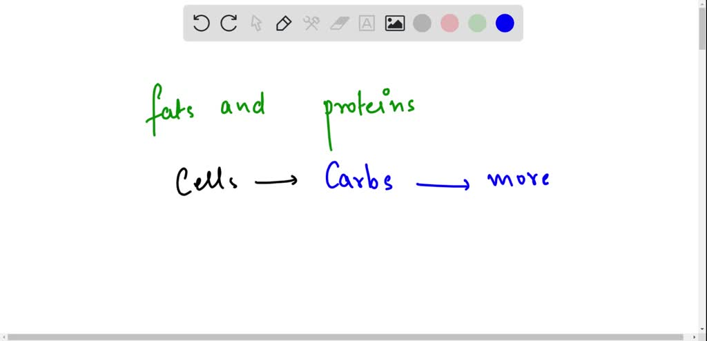 Cells Prefer To Use Carbohydrates As Energy Sources Because SOLVED: Comment on why do you think cells prefer to use carbohydrates