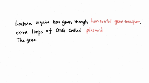 frees-the-clepipen-mopar-some-bacteria-acquire-new-genes-through-a-process-called-square-stophylococcus-and-enterococcus-in-proximity-can-swap-genes-some-bacteria-may-alry-extra-loops-of-drat-called-t