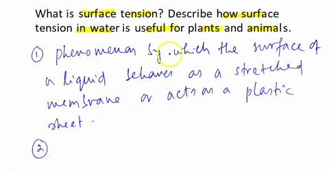 what-is-surface-tension-describe-how-surface-tension-in-water-is-useful-for-plants-and-animals-10-points-38384