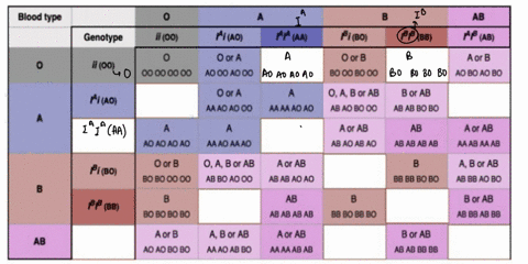 The abo blood typing system was discovered by karl...