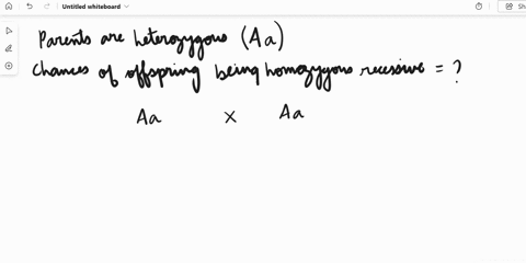 what-are-the-chances-of-an-offspring-being-homozygous-recessive-for-a-trait-if-they-have-two-heterozygous-parents-14-12-34-d-90037
