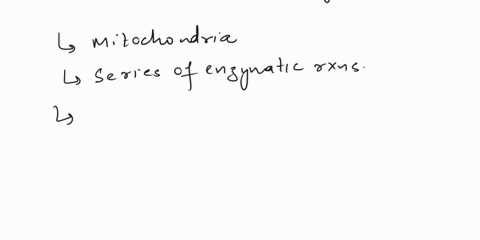 what-is-the-purpose-and-the-importance-of-citric-acid-cycle-and-acetyl-coa-why-is-the-citric-acid-cycle-a-critical-step-51141
